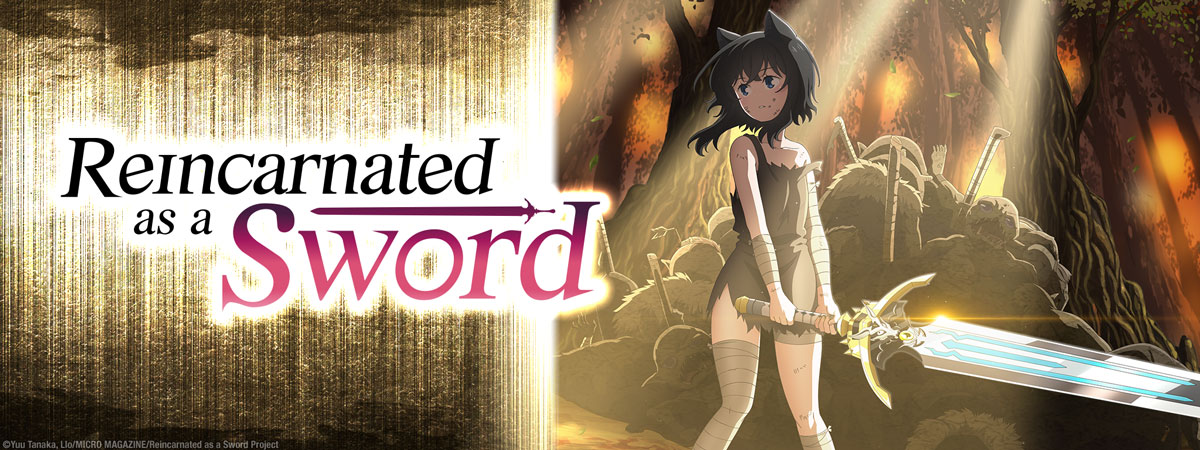 Reincarnated as a Sword Vol. 3