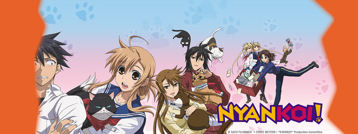 Nyankoi!: Where to Watch and Stream Online