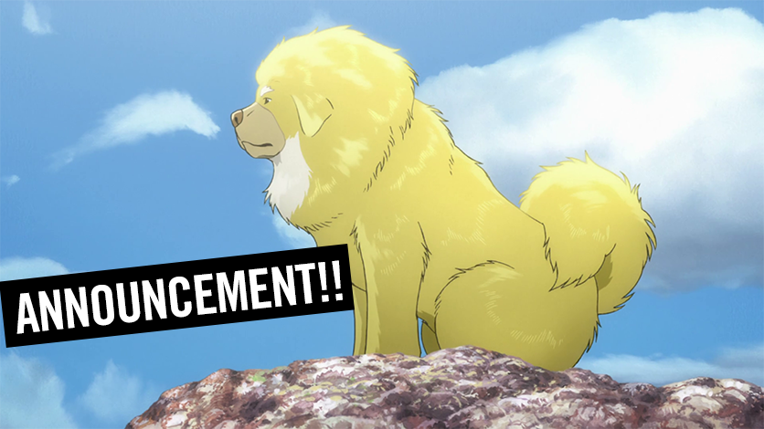 The Tibetan Dog” Anime Film Comes to HIDIVE on HIDIVE