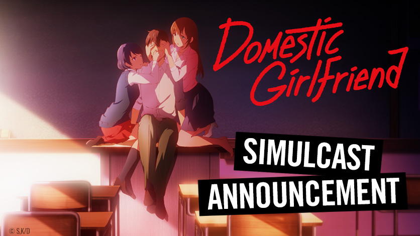 Domestic Girlfriend Complete Collection Review • Anime UK News