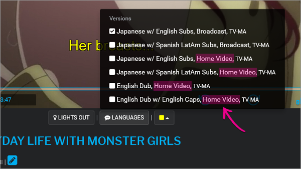 Home Video Guide, Japanese Releases
