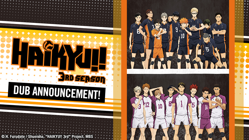 Missing series the haikyuu season 3 dub is released but it is not available  on the website : r/9anime
