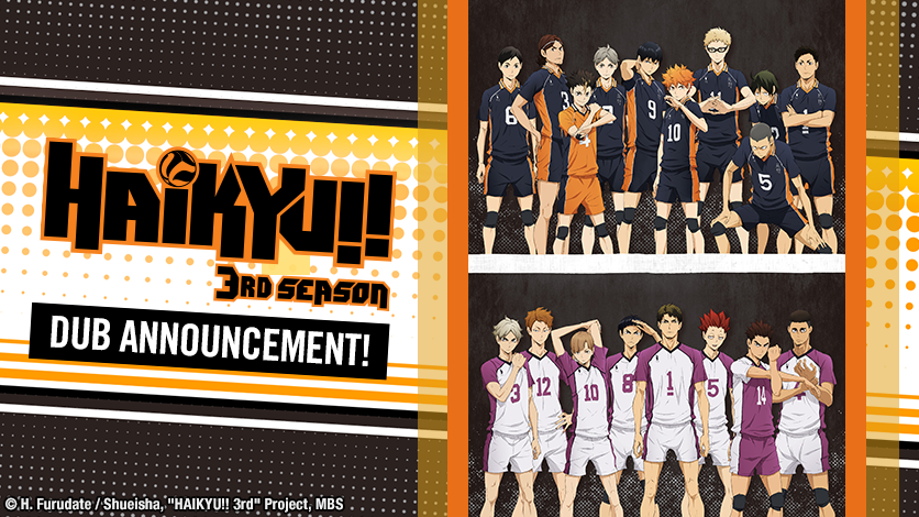 HAIKYU! TEMPORADA 3 episodios 1 a 10. DVD