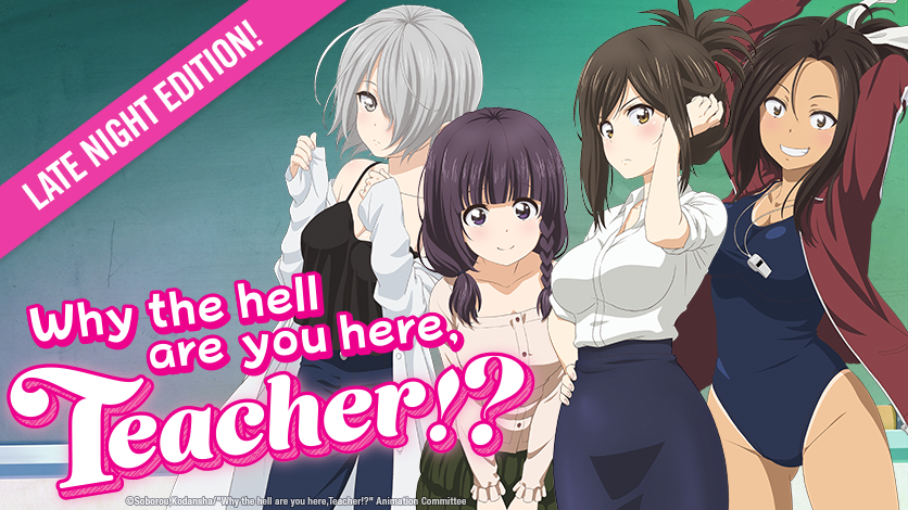 Why the Hell are you here, Teacher!? Ecchi Comes to HIDIVE with a “Late  Night Edition”