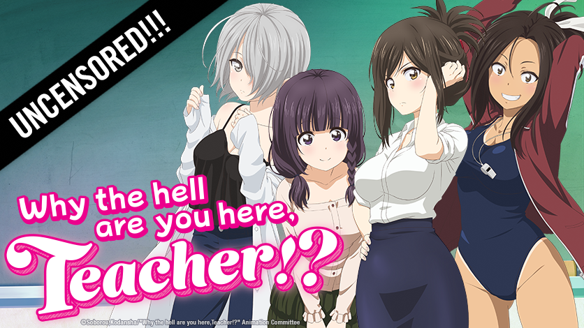 Why the hell are you here, Teacher!? Episode 10 in hindi, Harem anime in  Hindi