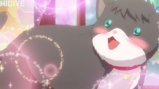 Anime cats - NeatoShop