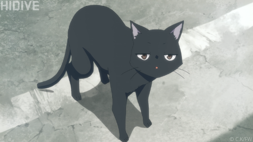 The Top 5 Anime Cats on HIDIVE