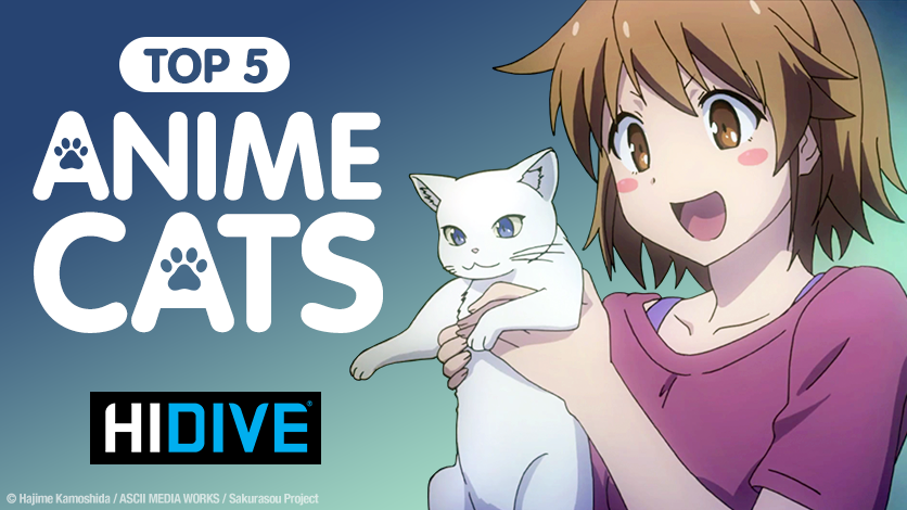 Anime Review: 'My Roommate is a Cat' (2019) | Geeks