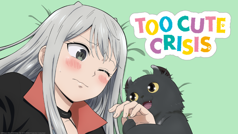 33 cutest anime cats: most popular kitties from films and shows 