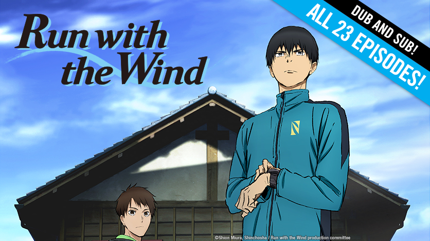 Where Can You Watch the Run with the Wind Anime Online? HIDIVE