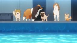 Screenshot for My Life as Inukai-san's Dog Season 1 Episode 10