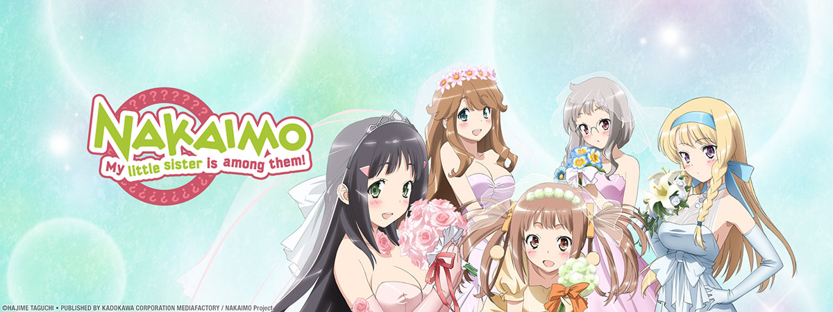 Key Art for NAKAIMO ~ My Little Sister is Among Them!