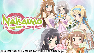 Master art for NAKAIMO ~ My Little Sister is Among Them!