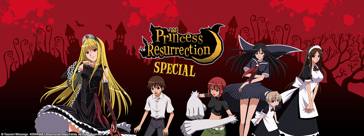 Key Art for Princess Resurrection Special