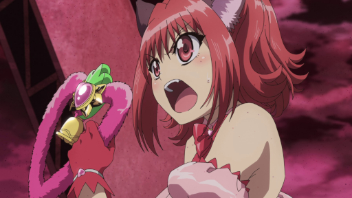 [NC-Raws] 東京喵喵 NEW ～ / Tokyo Mew Mew New - 12 (Sentai 1920x1080 AVC AAC MKV)