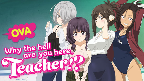 Master art for Why the hell are you here, Teacher!? OVA